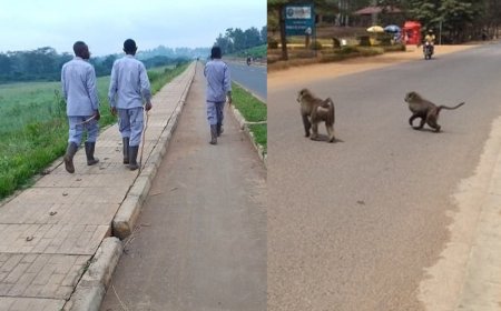 Nyagatare : Ibitera Byashyiriweho Irondo Ryihariye, Nyuma Yo Guteza Ibihombo Mu Bacuruzi