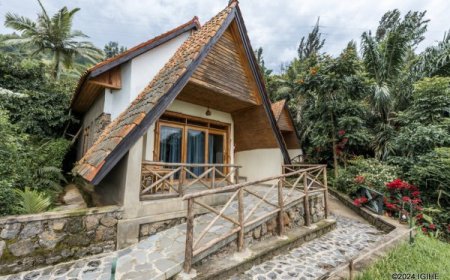 Hoteli ya Kinyarwanda mu bihuru byo ku Kivu: Icyizere Nyiramongi yabyaje inkovu za Jenoside