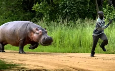 Rusizi: Umuryango wahekuwe n’imvubu wahojejwe amarira