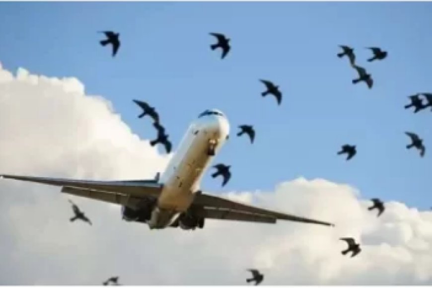 Ibisiga byahagaritse urugendo rw’indege yavaga i Kigali