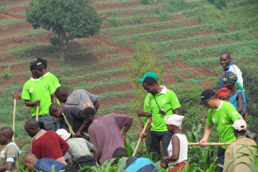 Ubungubu umuntu wese ufite ubutaka adahinga ashobora kujya ahanwa