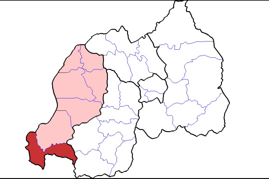 Abatuye mu karere ka Rusizi batewe impungenge n’imvubu zibangiriza imyaka zikica n’abaturage