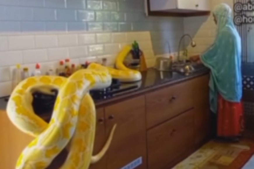 Umukobwa ukora mu rugo muri  yaciye ibintu ahantu hose kubera videwo ari mu gikoni n’inzoka nini[VIDEO]