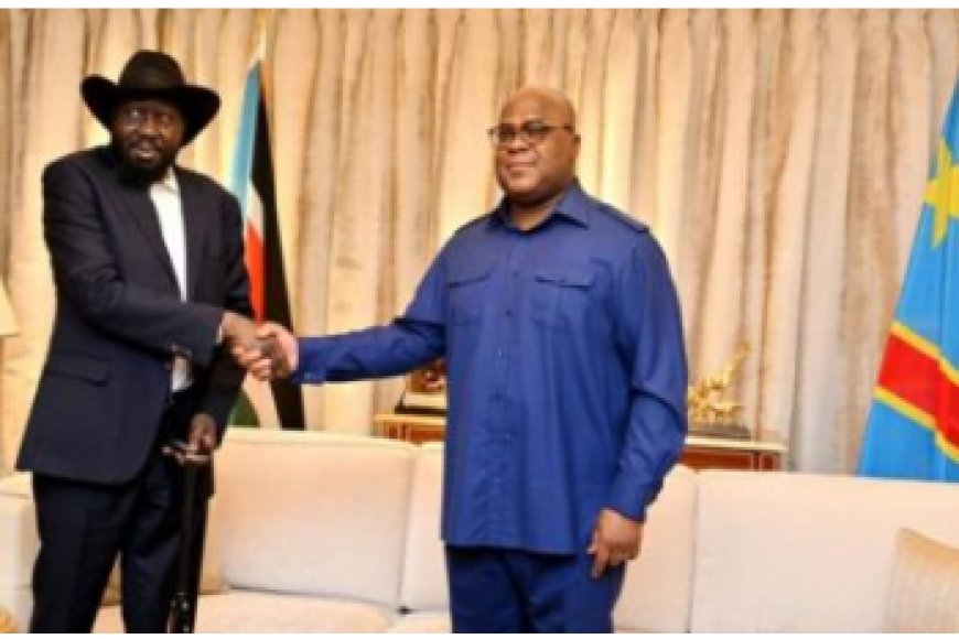 Tshisekedi yavuze kubijyanye n'urukuta rutandukanya u Rwanda na Repubulika Iharanira Demokarasi ya Congo