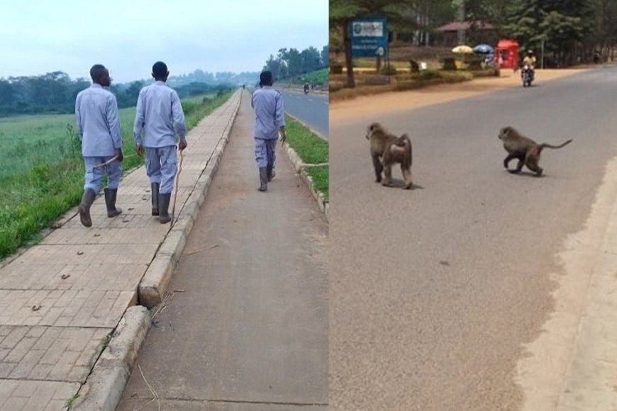 Nyagatare : Ibitera Byashyiriweho Irondo Ryihariye, Nyuma Yo Guteza Ibihombo Mu Bacuruzi