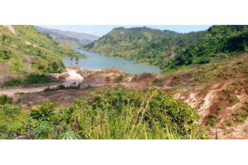 Rusizi: Icyogogo cy’Umugezi wa Rusizi kigiye guterwamo ibiti ibihumbi 174