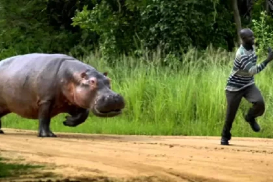 Rusizi: Umuryango wahekuwe n’imvubu wahojejwe amarira