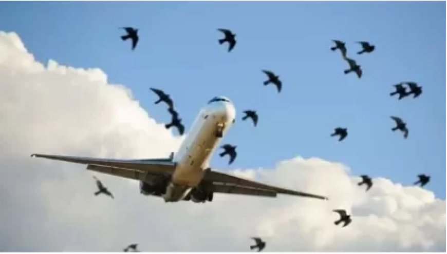 Ibisiga byahagaritse urugendo rw’indege yavaga i Kigali