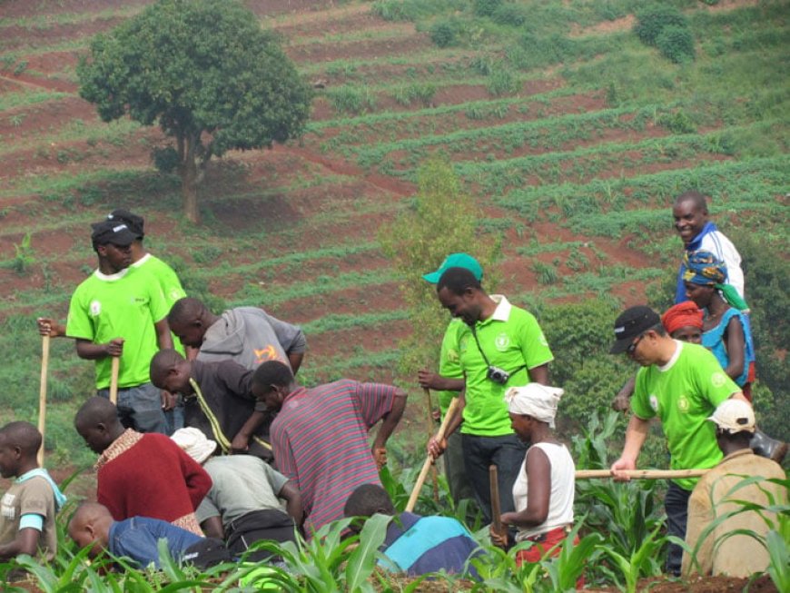Ubungubu umuntu wese ufite ubutaka adahinga ashobora kujya ahanwa