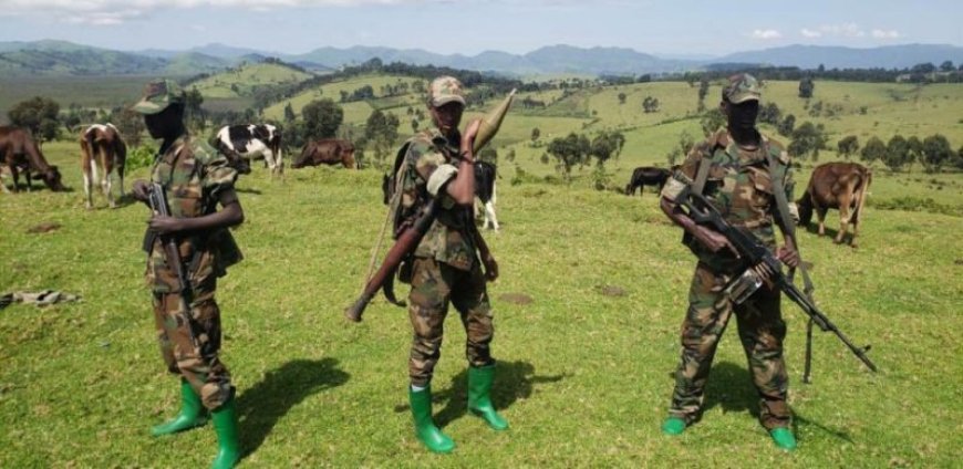 M23 yatangaje ko yivuganye umukoloneli wa FARDC mu mirwano yabereye Kalehe