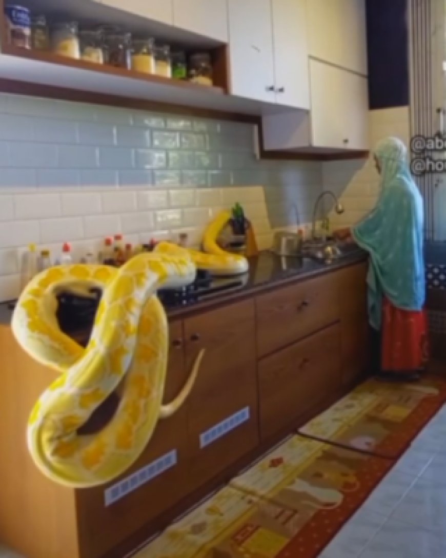 Umukobwa ukora mu rugo muri  yaciye ibintu ahantu hose kubera videwo ari mu gikoni n’inzoka nini[VIDEO]