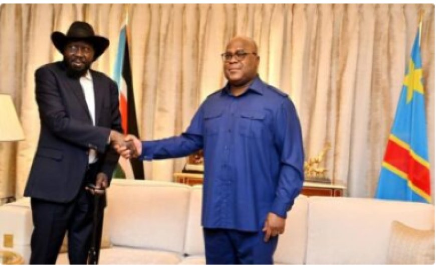 Tshisekedi yavuze kubijyanye n'urukuta rutandukanya u Rwanda na Repubulika Iharanira Demokarasi ya Congo