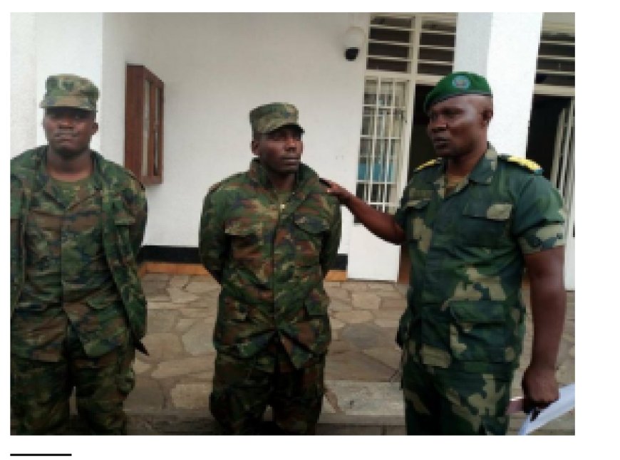 FARDC iravuga ko ngo hari abasirikare b'u Rwanda bayishyikirije ku bushake