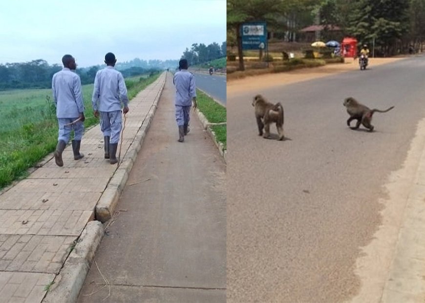 Nyagatare : Ibitera Byashyiriweho Irondo Ryihariye, Nyuma Yo Guteza Ibihombo Mu Bacuruzi