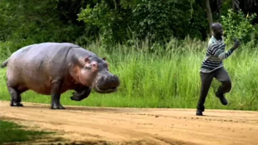 Rusizi: Umuryango wahekuwe n’imvubu wahojejwe amarira