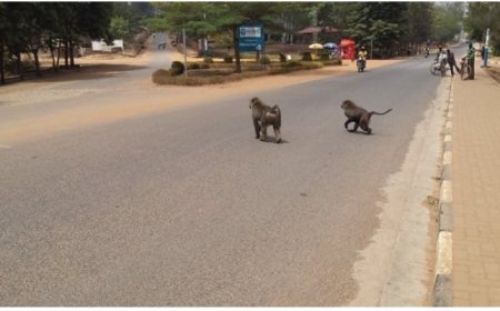 Nyagatare ibitera byahagurukiwe