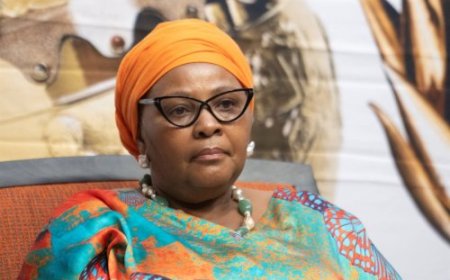 Umuyobozi w’inteko ishinga amategeko ya Afurika y’Epfo yasabiwe kweguzwa kubera ibirego bya ruswa