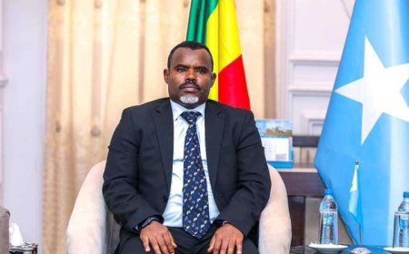 Somalia: Ambasaderi wa Ethiopia muri Somalia yirukanywe