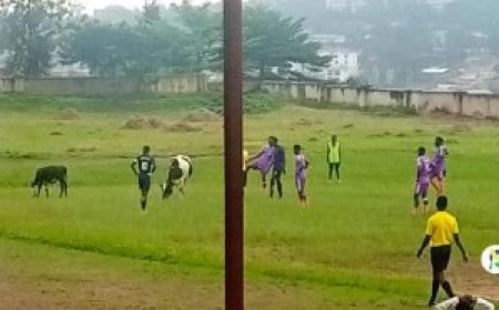 Abakinnyi bakiniye mu kibuga kirimo n’inka muri shampiyona y’icyiciro cya kabiri mu bagabo