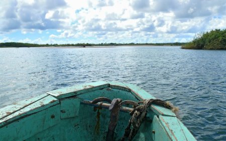 Inkuru Ibabaje: abantu basaga 90 barohamye hafi y’umwaro wa Nampula