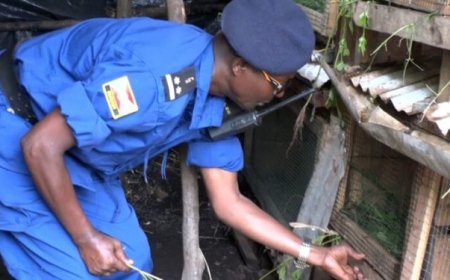Burundi: Bamwe mu bapolisi baravuga ko batasigaye inyuma, ko bagiye kwiyororera inkwavu