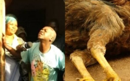 Tanzania: Umusore wintarumikwa yatawe muri yombi na Polisi azira gusambanya inkoko kugeza ishyizemo umwuka