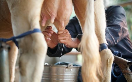 Dore ibyo utaruzi burya Mu Mata hasanzwemo Virus iteye ubwoba yo kwirindwa