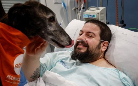 I burayi hari igihugu hatangiye kwifashishwa imbwa mu kwita ku barwayi barembye cyane