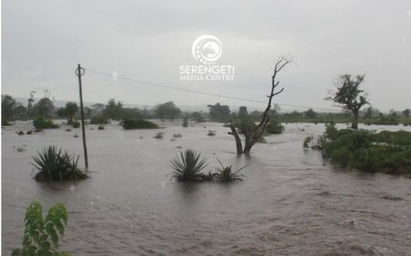 Tanzania: Umugore yitabye Imana ubwo yageragezaga kurohora umwana we wari watembanywe n'umuvu w'amazi