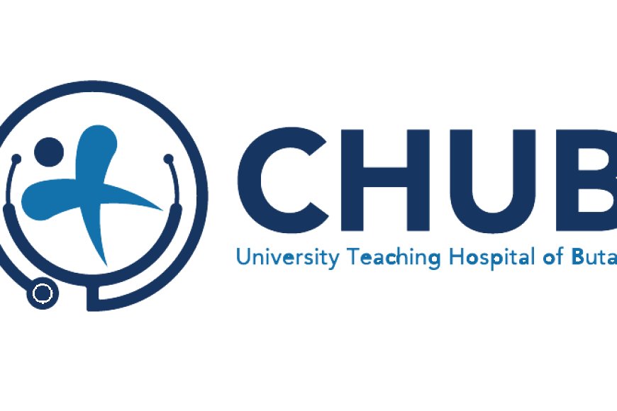 Director of Procurement at Central University Hospital Of Butare (CHUB) (Deadline Apr 19, 2024)