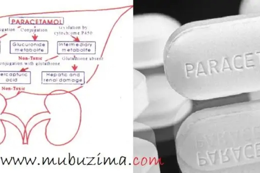 Wari uziko umuti wa Paracetamol ushobora kurangiza ubuzima bwawe utabizi ? Sobanukirwa