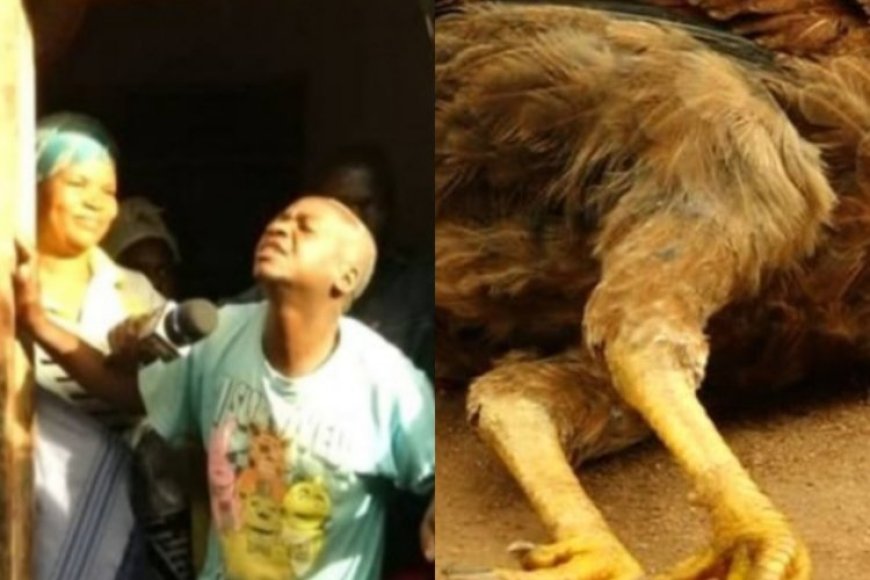 Tanzania: Umusore wintarumikwa yatawe muri yombi na Polisi azira gusambanya inkoko kugeza ishyizemo umwuka