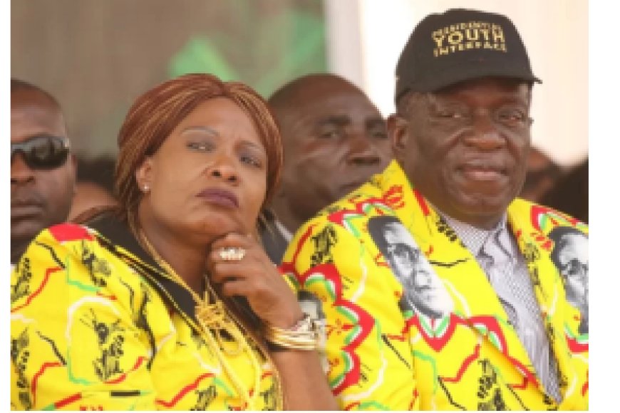 Zimbabwe: Abagore icyenda bakomereye umugore wa Perezida none batawe muri yombi