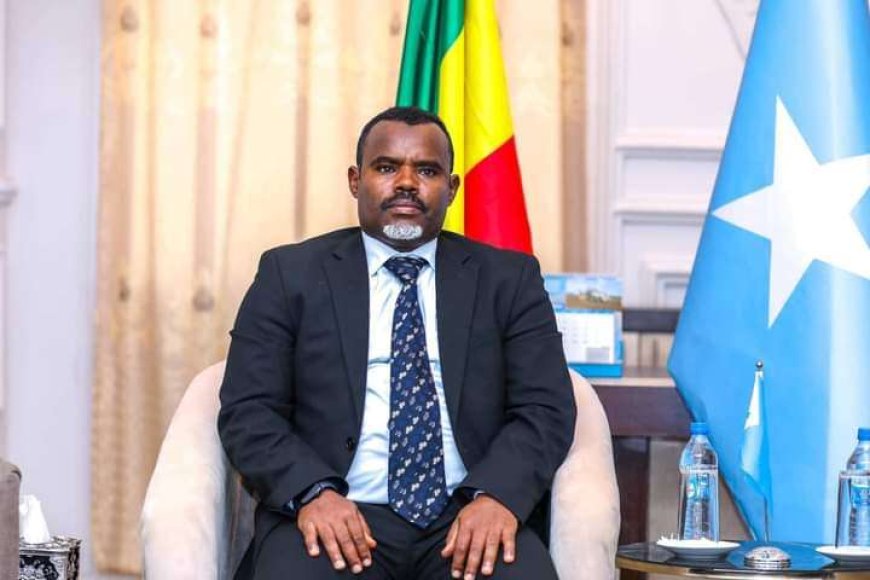 Somalia: Ambasaderi wa Ethiopia muri Somalia yirukanywe