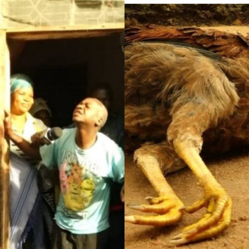 Tanzania: Umusore wintarumikwa yatawe muri yombi na Polisi azira gusambanya inkoko kugeza ishyizemo umwuka