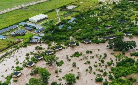 Kenya: Hamazwe impungenge ku byavugwaga ko inyamaswa nyinshi zo muri Pariki ikomeye zahitanywe n’ibiza