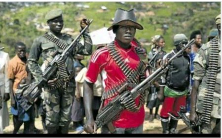 Havuzwe andi makuru mashya ku barwanyi bashaka kuvanaho ubutegetsi bwa perezida Tshisekedi, bahereye i Kinshasa ku murwa mukuru w’iki gihugu.