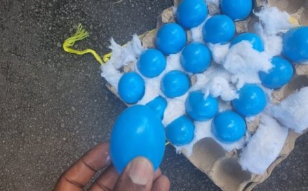 Bikomeje kugorana! Kigali Yariwe arenga miliyoni 8 Frw abwirwa ko ahawe amagi ya Kagoma birangira abaye ay'inkoko!!!