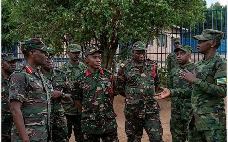 Icyazanye intumwa z’igisirikare cya Tanzania i Kigali mu Rwanda cya menyekanye.