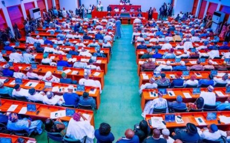 Nigeria: Sena yemeje umushinga w’itegeko rishyiraho igihano cy’urupfu ku bacuruzi b’ibiyobyabwenge