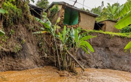 Abarenga 1600 bakuwe ahashobora gushyira ubuzima bwabo mu kaga