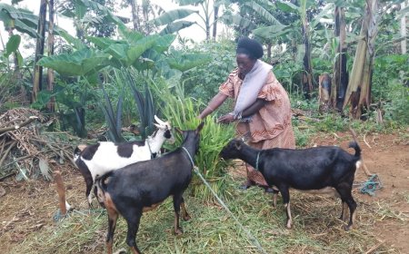 Abaturage bo mu karere ka Rwamagana bahoze mu bukene bukabije, bagaragaje ibanga ryatumye babwivanamo ku bufasha bwa VUP