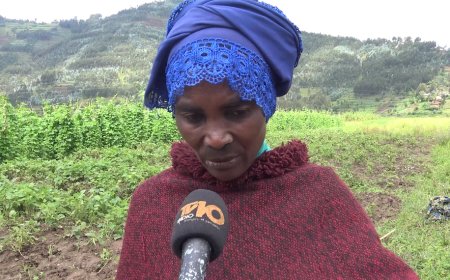 Musanze: Nyuma y'igihe kinina abahinzi barira ayo kwarika bagejejweho inkuru yumvikanamo ko bagiye guhozwa amarira