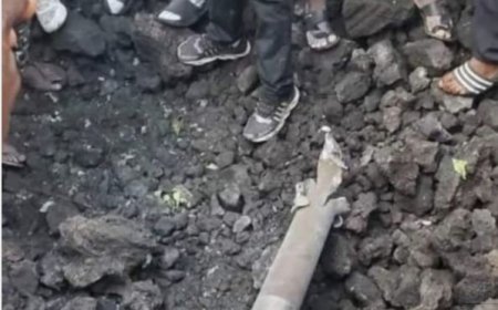 Igisasu cyatewe mu bice byo muri teritware ya Masisi, mu Ntara ya Kivu y’Amajyaruguru, cyagize ibyo cyangiriza.