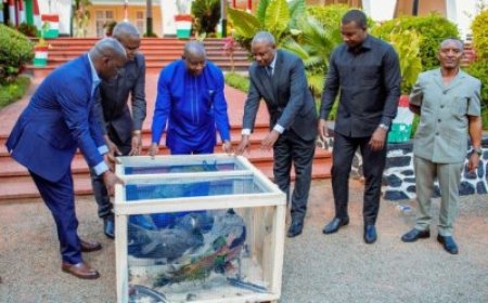 Perezida wa Tanzania Samia Suluhu Hassan yahaye impano y’inyoni mugenzi we Perezida Ndayihimiye w'u Burundi