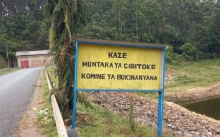 Burundi: Ishyamba rya Kibira ryabonetsemo imirambo isaga 30 y’abasirikare bambaye imyenda ya FARDC