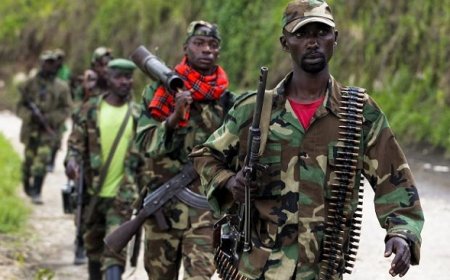 Hatahuwe ibihembo Perezida Tshisekedi yemereye FDLR kugira ngo imifashe mu ntambara yo kurwanya M23