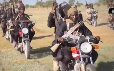 Nigeria: Abantu bitwaje intwaro bahitanye abagera ku 8 bashimuta 150