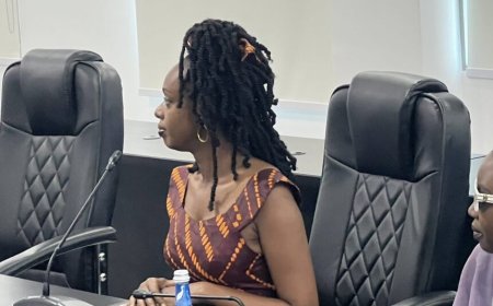 Diane Rwigara yarahiriye kuzayobora u Rwanda ubu yamaze gutanga Kandidatire ye