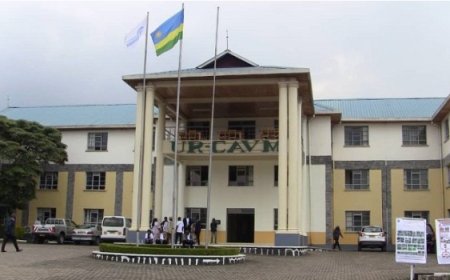 Musanze: Mu bwiherero bwa Kaminuza y’u Rwanda ishami rya Busogo UR CAVM  hatoraguwe umurambo w’uruhinja rwari rumaze amasaha macye ruvutse